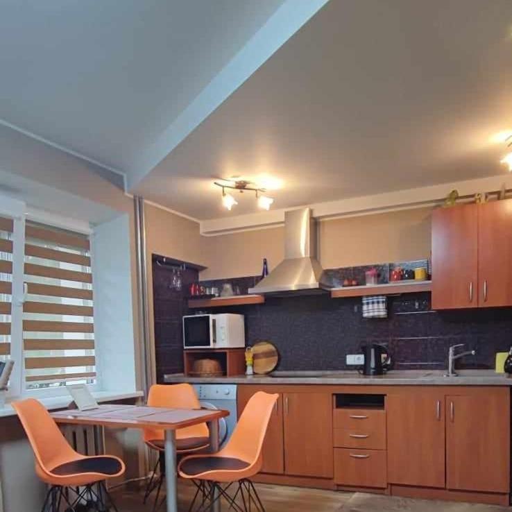 Du Draugai Apartment Druskininkai Esterno foto