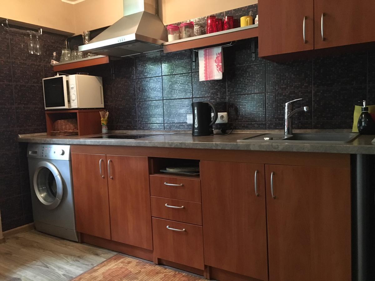 Du Draugai Apartment Druskininkai Esterno foto